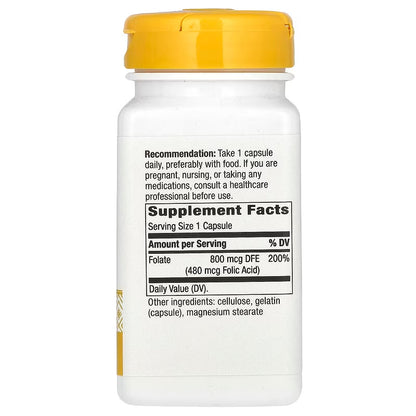 Folate, 800 mcg, 100 Capsules